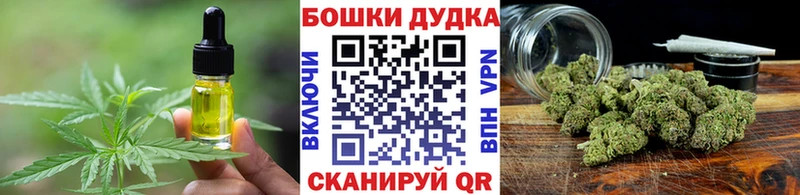 Купить где  Мензелинск  Canna-Cookies конопля 