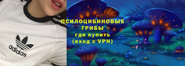 спайс Алексин