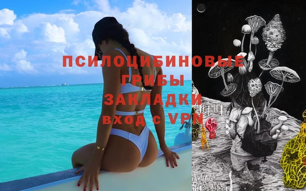 спайс Алексин