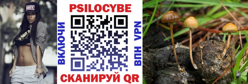 Купить  Мензелинск  Галлюциногенные грибы Psilocybine cubensis 